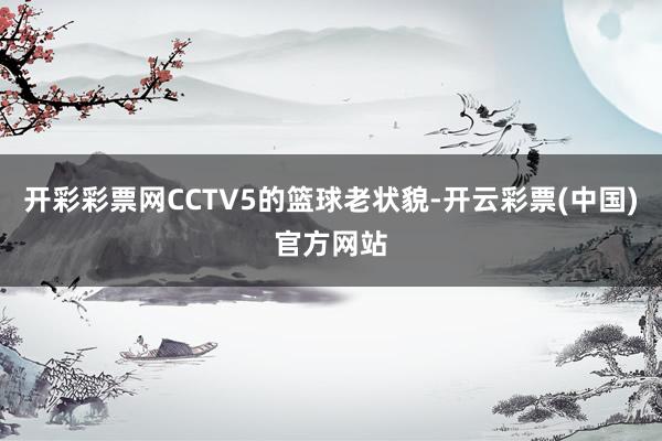 开彩彩票网CCTV5的篮球老状貌-开云彩票(中国)官方网站