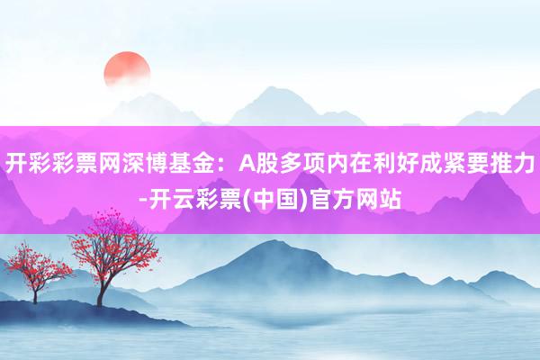 开彩彩票网深博基金：A股多项内在利好成紧要推力-开云彩票(中国)官方网站