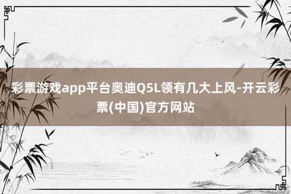 彩票游戏app平台奥迪Q5L领有几大上风-开云彩票(中国)官方网站