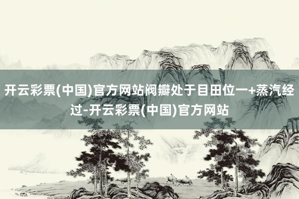 开云彩票(中国)官方网站阀瓣处于目田位一+蒸汽经过-开云彩票(中国)官方网站