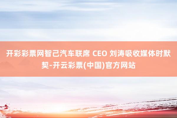 开彩彩票网智己汽车联席 CEO 刘涛吸收媒体时默契-开云彩票(中国)官方网站