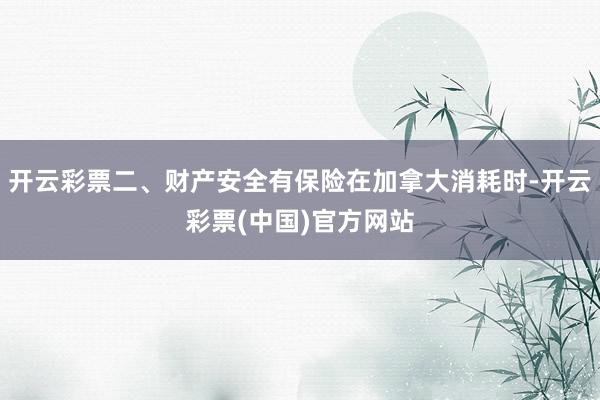 开云彩票二、财产安全有保险在加拿大消耗时-开云彩票(中国)官方网站