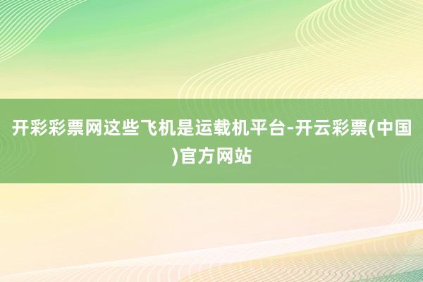 开彩彩票网这些飞机是运载机平台-开云彩票(中国)官方网站